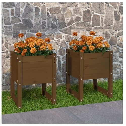  Visoka greda 2 kosa medeno rjava 40x40x52,5 cm trdna borovina Cene