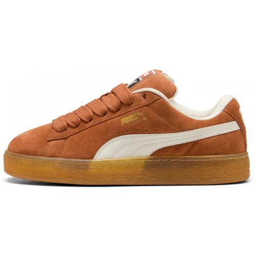 Puma Modne superge Suede xl Kostanjeva Cene
