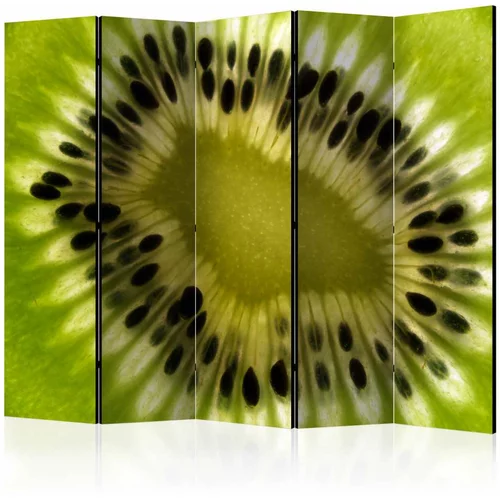  Paravan u 5 dijelova - fruits: kiwi II [Room Dividers] 225x172