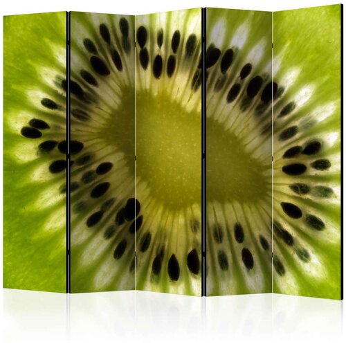  Paravan u 5 dijelova - fruits: kiwi II [Room Dividers] 225x172 Slike