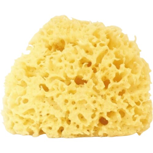Cose della Natura Beljena Honeycomb gobica - 12-14 gr Slike