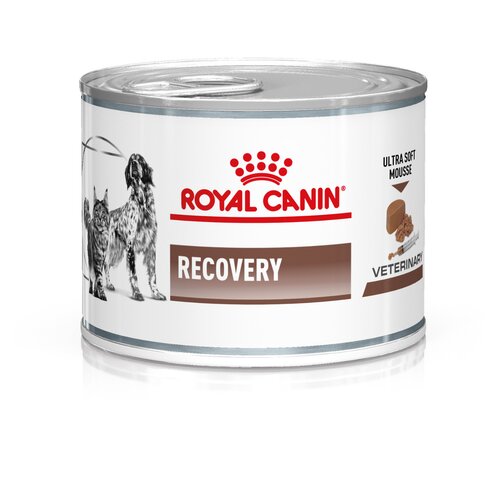 Royal Canin Veterinary Feline Recovery Ultra Soft Mousse - Varčno pakiranje: 24 x 195 g Cijene