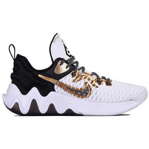 Nike Košarka CZ4099100 pisana Cene