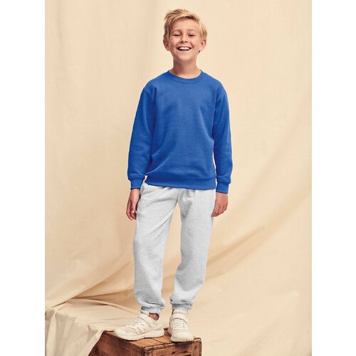 Fruit Of The Loom Blue Set-In Sweat Cijene