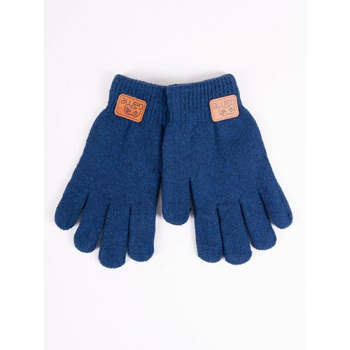 Yoclub Kids's Gloves RED-0229C-AA50-002 Navy Blue Cene