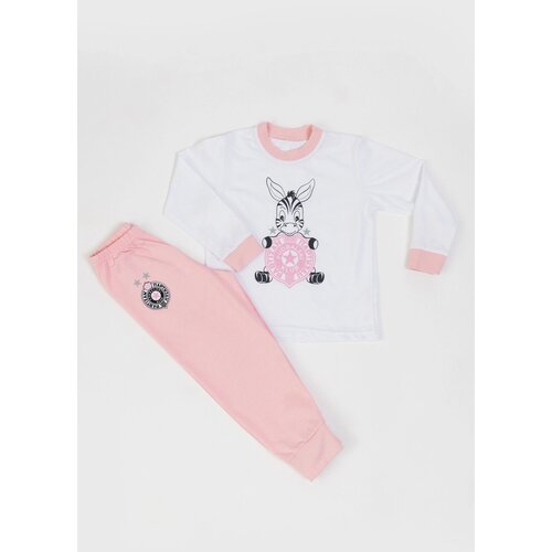 Partizan Pidžama za devojčice Zebra/ roze/bela Cene