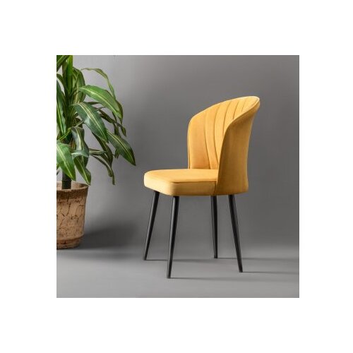 Hanah home set 4 stolice rubi yellow Cene