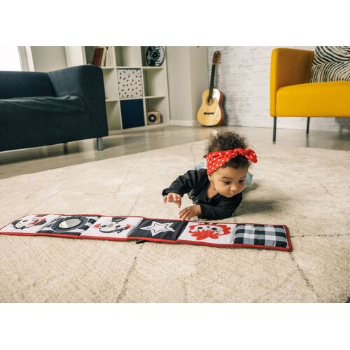 Tiny Love obostrana knjiga, Tiny Rockers Slike