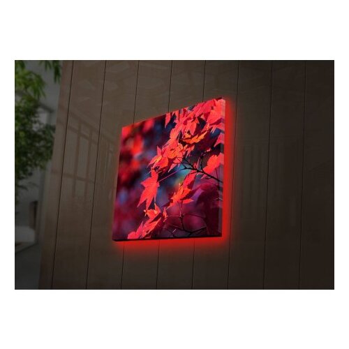 Wallity Slika sa LED osvetljenjem 2828DACT-7, 28x28 cm Slike
