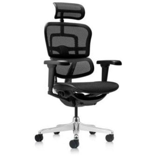 Ergohuman radna stolica - 400374 Cene