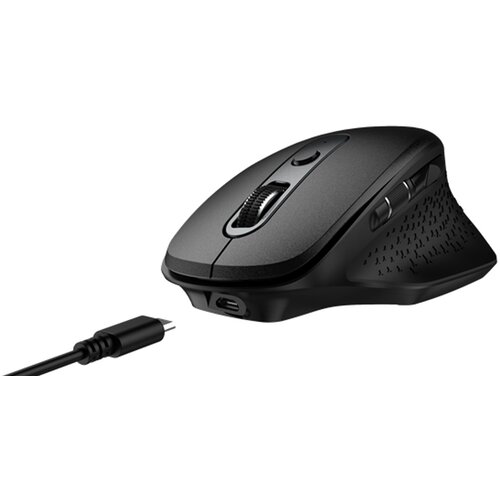  Ergo Pro Wireless Mouse Cene
