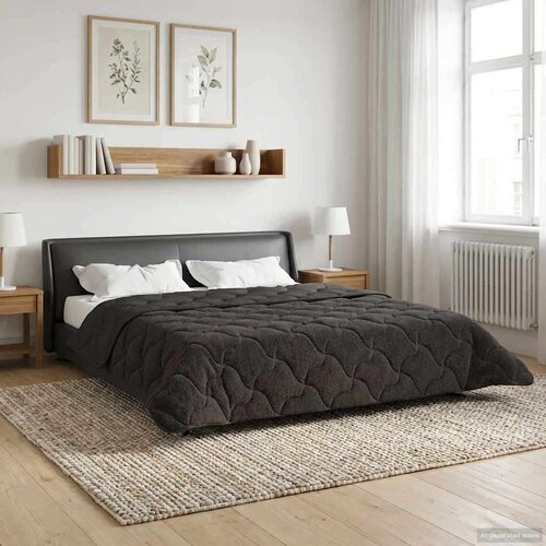  Ljetni pokrivač Antracit 200 x 200 cm Mikrofibra i teddy flis Cijene