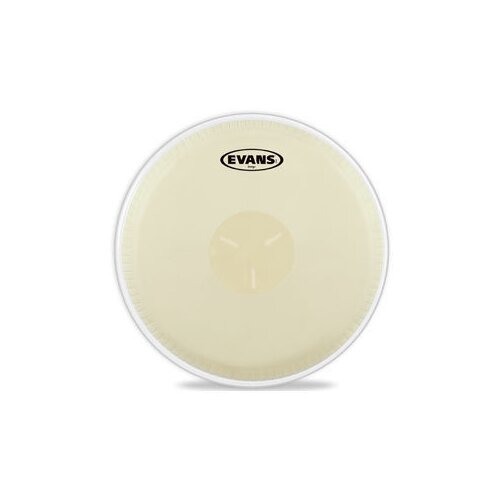 Evans EB07 7-1/4 koža za bongo Slike