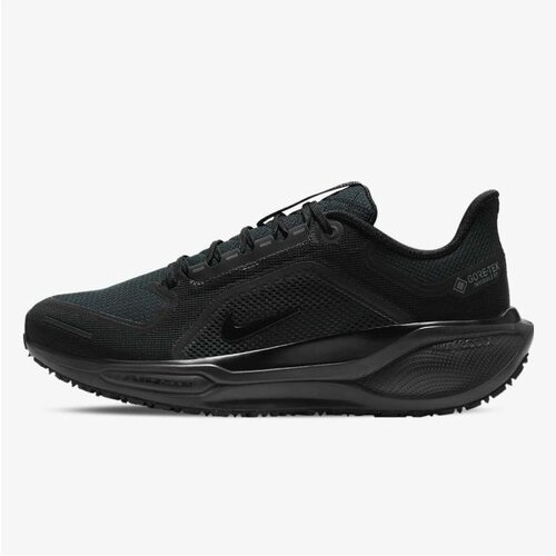 Nike Air zm pegasus 41 gtx Cene