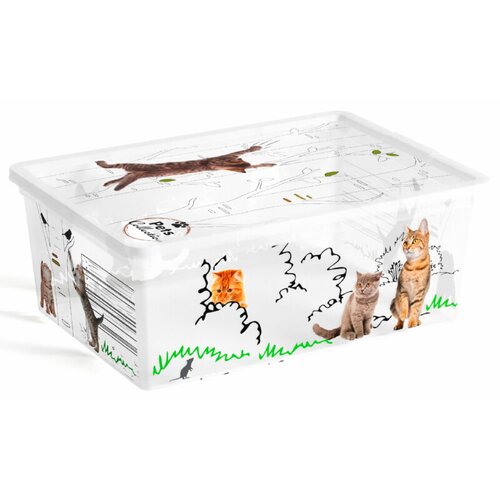 Keter Škatla za shranjevanje KETER Pets Collection S (37,5 x 26 x 14 cm, 11 l) Cene