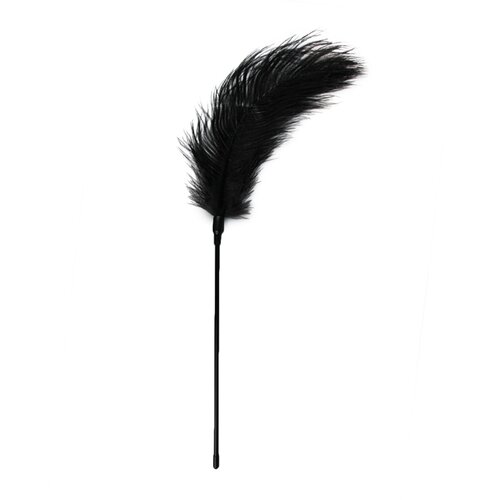Easytoys Fetish Collection Black Feather Tickler Slike