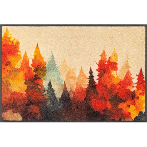 wash+dry PREDPRAŽNIK 50/75 cm potiskano večbarvno Cene