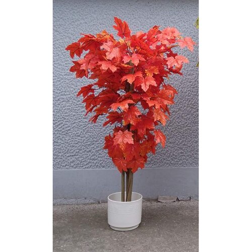 Lilium javor crveni 140cm A10388 Slike