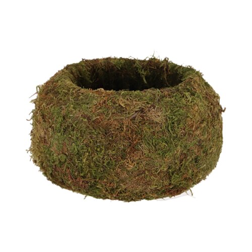 Esschert Design Kokedama krogla - L Cene