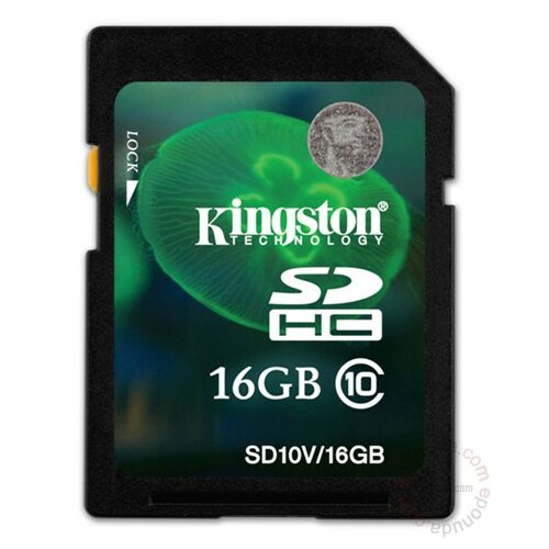 Kingston SDHC 32GB Class 10 SD10V/32GB memorijska kartica Slike