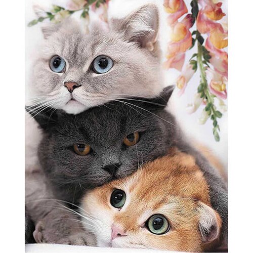 Varvikas Dijamantski mozaik Tri mace (LG299e Three kittens) Slike