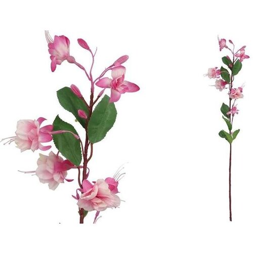  FUKSIJA 79CM ROZA PVC Cijene