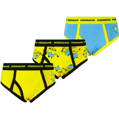Licensed Boy's briefs Minion 3P - Frogies Cene