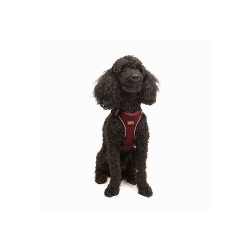 Paws & Whiskers Am za pse Air Mesh Claret Red 3XS Cene