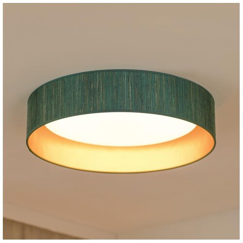  Brilagi - LED plafonsko svetlo BOSTON ROLLER LED/24W/230V, prečnik 45 cm, zelena/zlatna Cene