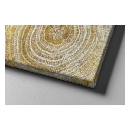 Wallxpert Zidna slika ASR_CNV25-50, 50x70 cm Slike