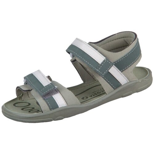 Ricosta 504200402530 Zelena Cijene