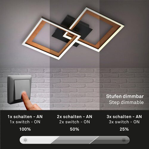 Lesnina XXXL Brilo - LED prigu&amp;scaron;iva nadometni luster FRAME 2xLED/11W/230V Slike