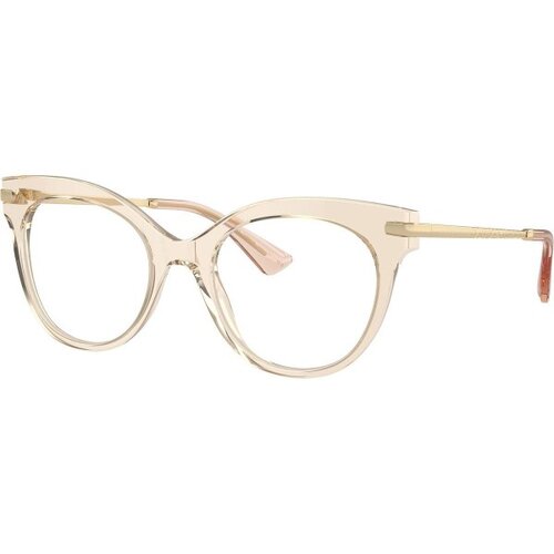 Dolce & Gabbana DG3392 3432 L (52) Bež/Kristalna Cene