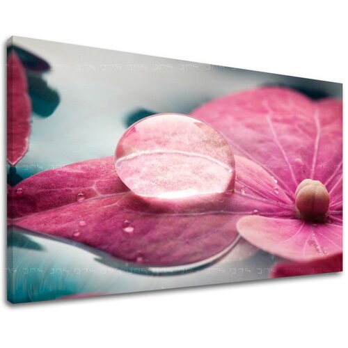  Slike na platnu cveće  (moderne slike na platnu) Cene