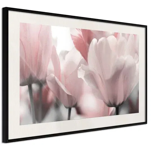  Poster - Pastel Tulips II 90x60