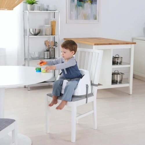 Kids II hranilica ingenuity booster - slate 11576 Cene