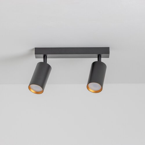  Brilagi - LED RGBW prigu&amp;scaron;iva spot svetiljka SELE 2xGU10/6W/230V crna/zlatna Slike