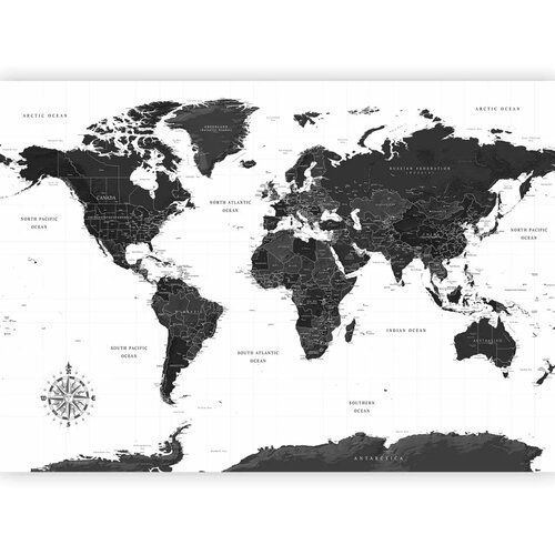  Foto tapeta - Black and White Map 450x315 Premium Cene
