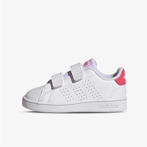 Adidas Advantage cf i Cene