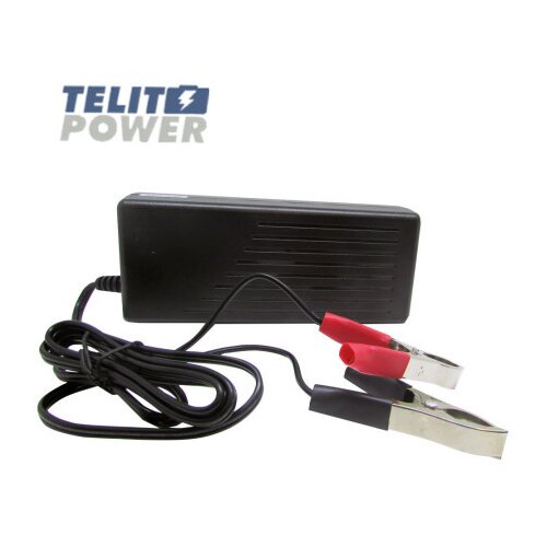 Focus Power A100-12 punjač akumulatora od 14.8V 4.8A sa klemama ( P-2262 ) Cene