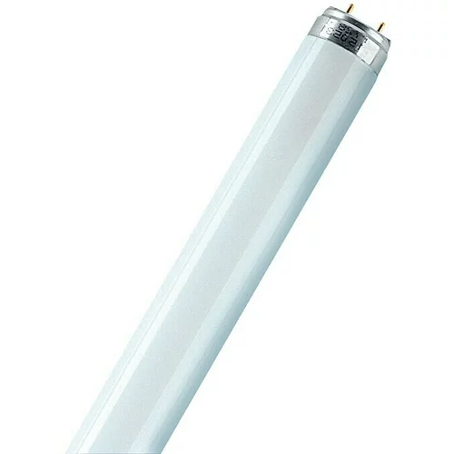 Osram Fluorescentna žarulja (T8, Neutralno bijelo, 18 W, Duljina: 60 cm)