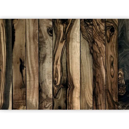  Foto tapeta - Olive Wood 450x315 Premium Slike