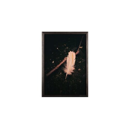 Wallity slika white feather, 35 x 50 cm Cene