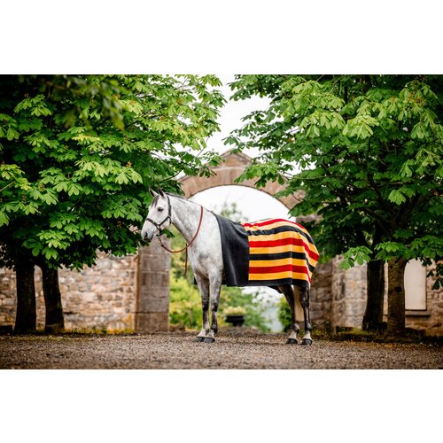 Horseware Ireland Pregrinjalo Horseware Newmarket Fleece - Witney Gold Cene