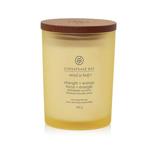 Chesapeake Bay Candle Mind & Body Strength & Energy mirisna svijeća 250 g Cijene