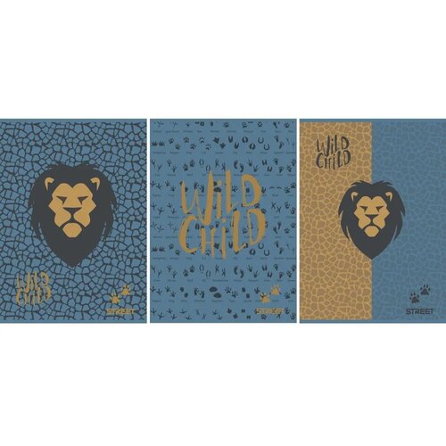 STREET Zvezek Lion A4 črte z robom Cene