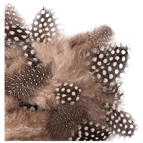  Prirodno perje od prepelice 5 - 12 cm / 5 g (perje za dekoraciju) Slike
