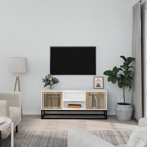 vidaXL TV omarica bela 105x30x45 cm inženirski les in železo Cene