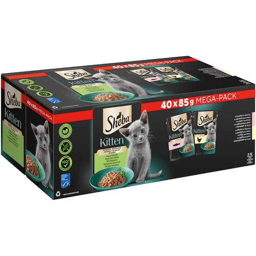  Varčno pakiranje Sheba Kitten v vrečkah za ohranjanje svežine 80 x 85 g - Fina raznolikost v omaki (losos, piščanec) Cene