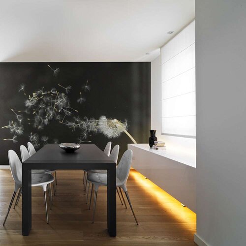  Tapeta - Dandelion seeds carried by the wind 350x270 Slike